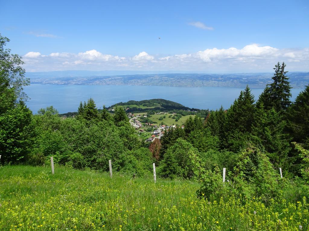 Bed and Breakfast Les Balcons Du Leman Толлон Экстерьер фото